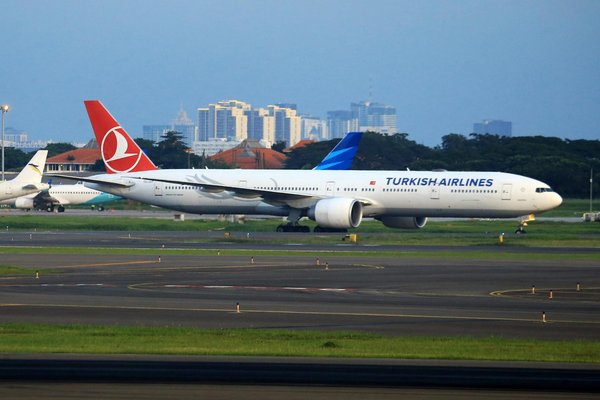 What are the top wildlife encounters on UK cruises?