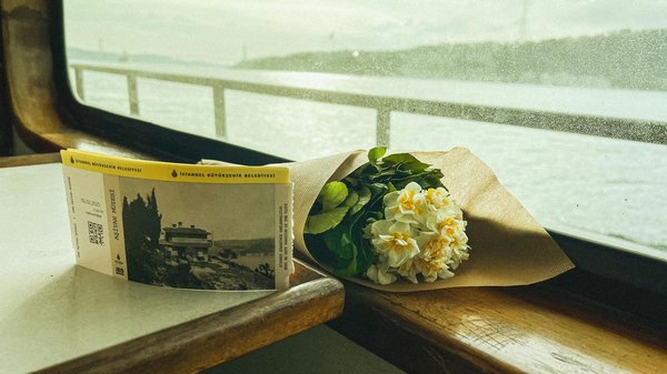 Discover oxford's literary treasures: a comprehensive guide to iconic uk bookish landmarks and enriching tours